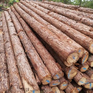 思竺木业 园林绿化杉木杆 果树支撑杆 打桩木 优质杉木支撑杆 源头产地